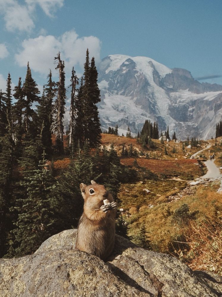 Photograph by Пономарева Марина