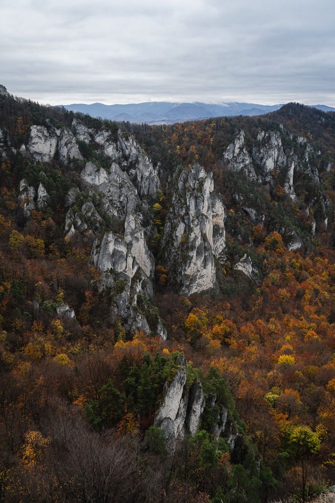 Photograph by Jaroslav Svetlossak