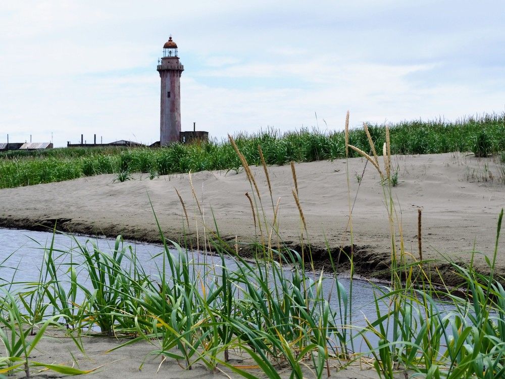 Фотография автора Olena Vorotyntseva