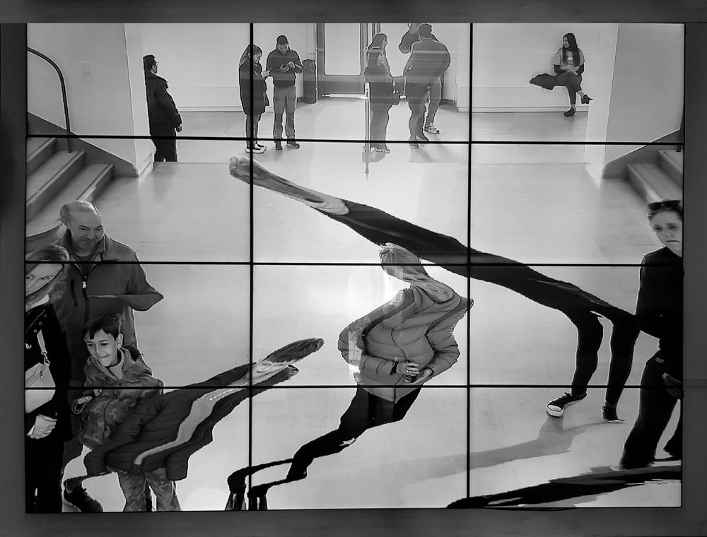 Photograph by Diana Alicia Rojas