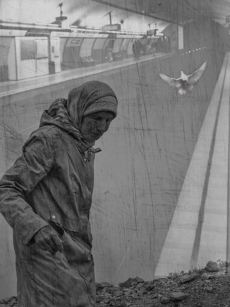 Photograph by Людмила Евстратова