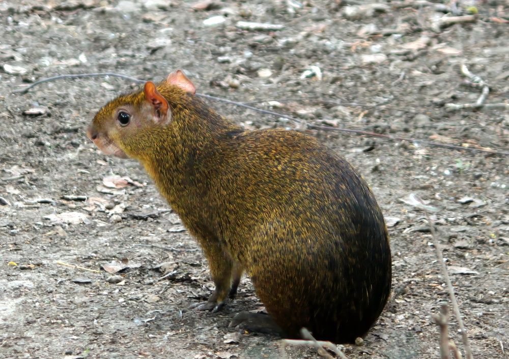 Photograph by Глеб Кузьминых