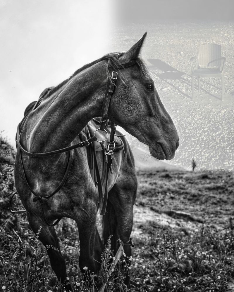 Photograph by Людмила Евстратова