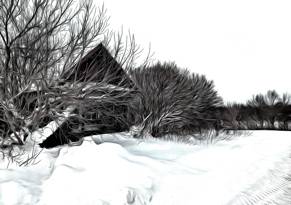 Photograph by Глеб Кузьминых