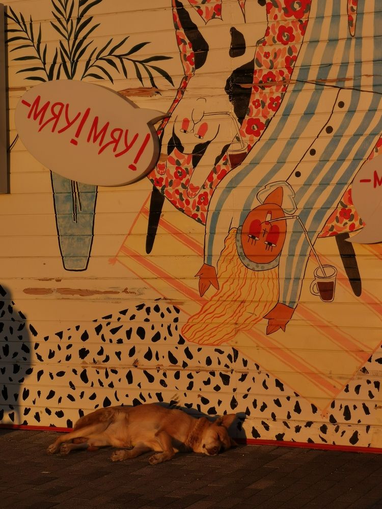 Photograph by Анастасия Бреева