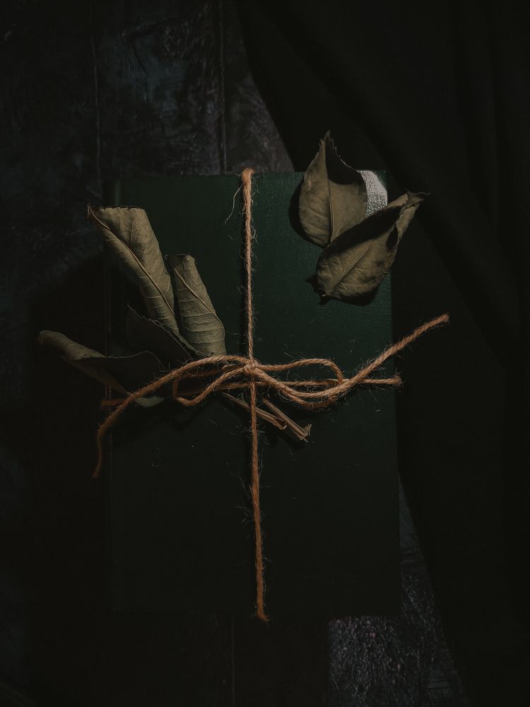 Фотография автора Татьяна Шахова