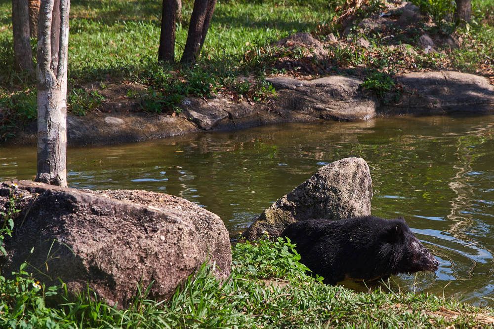 Photograph by Дмитрий Солодухин