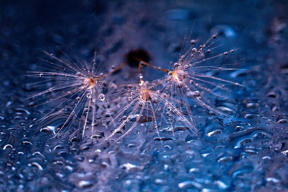 Photograph by Андрей Кульков