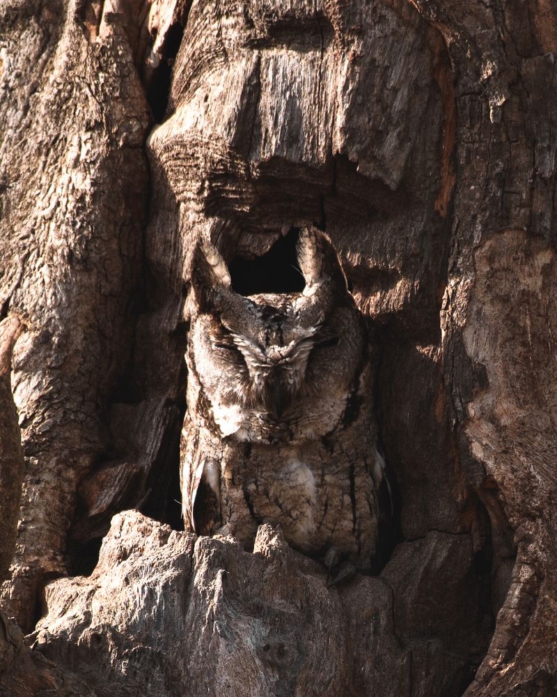 Photograph by Nikhil Joseph