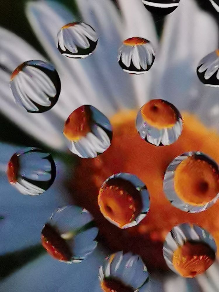 Photograph by Наталья Круглова