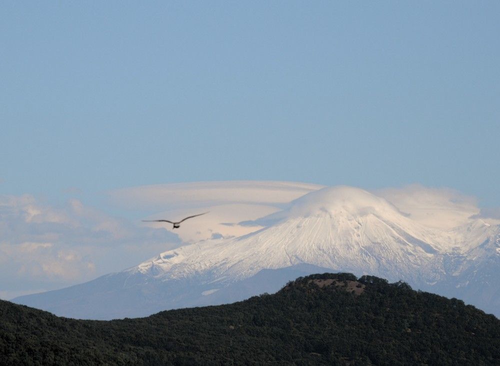 Photograph by Ения Семина