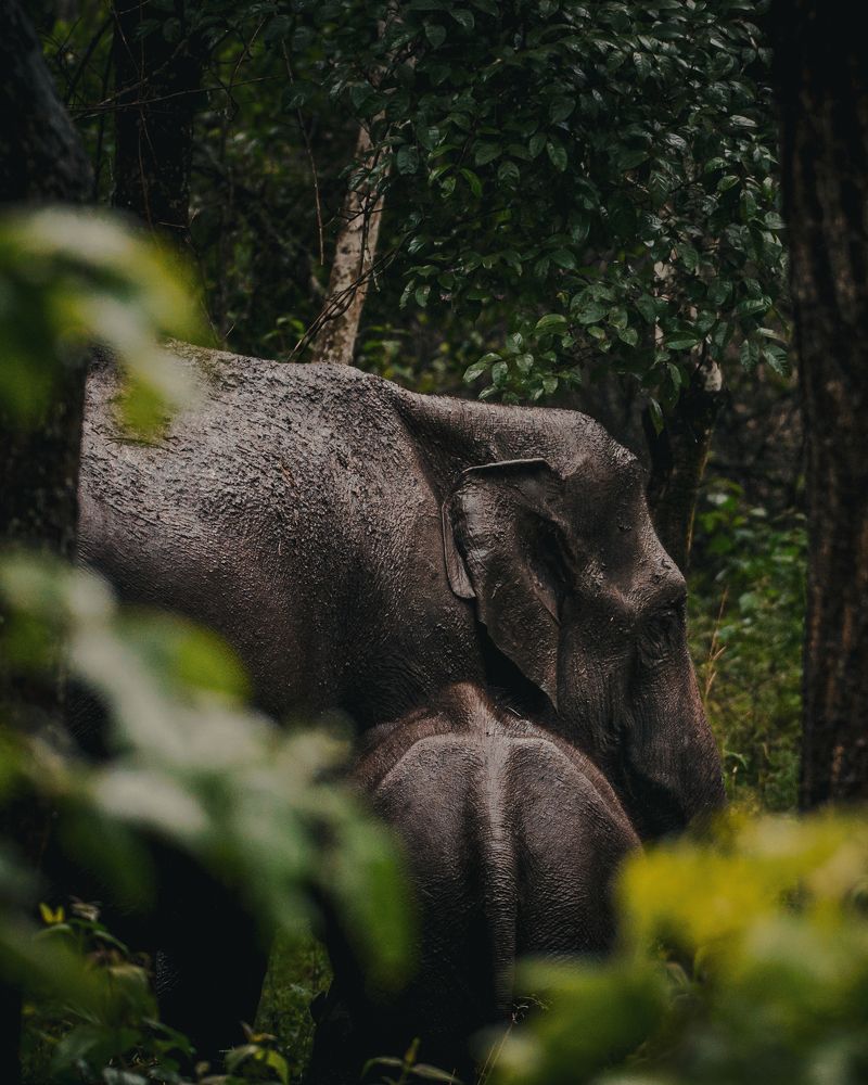 Photograph by Nikhil Joseph