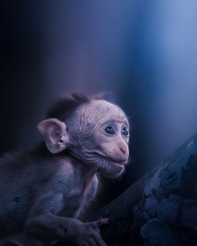 Photograph by Nikhil Joseph