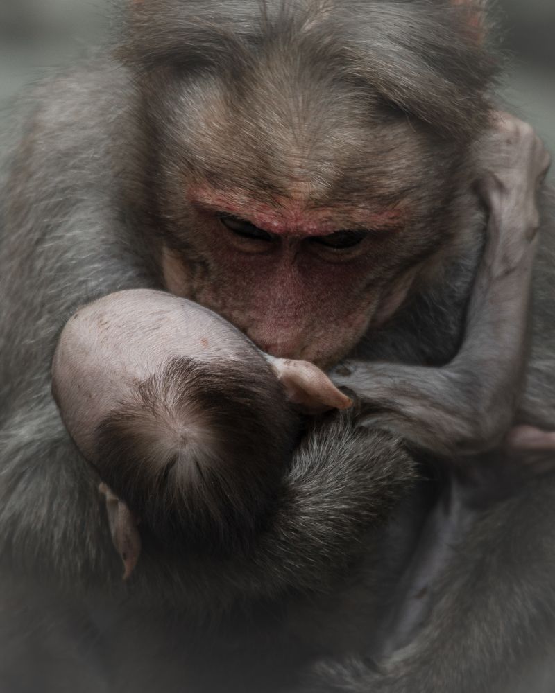 Photograph by Nikhil Joseph