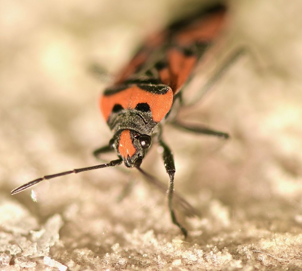 Photograph by Юлия Мартова