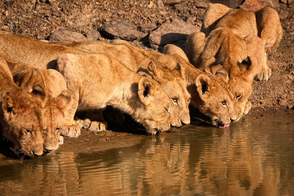 Photograph by Ирина Худзинская