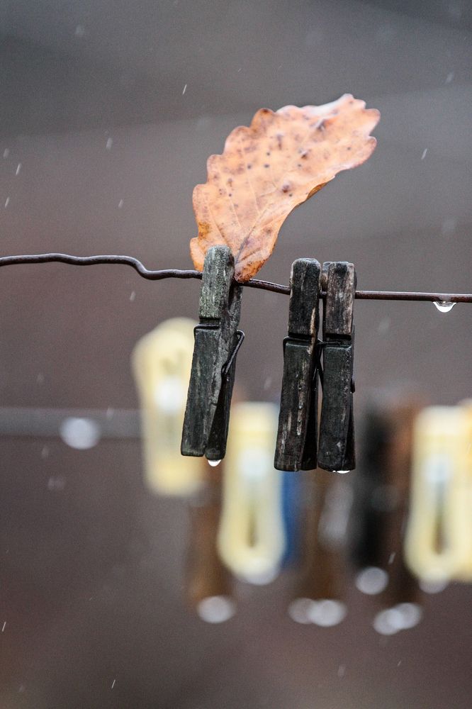 Photograph by Мария Маркина