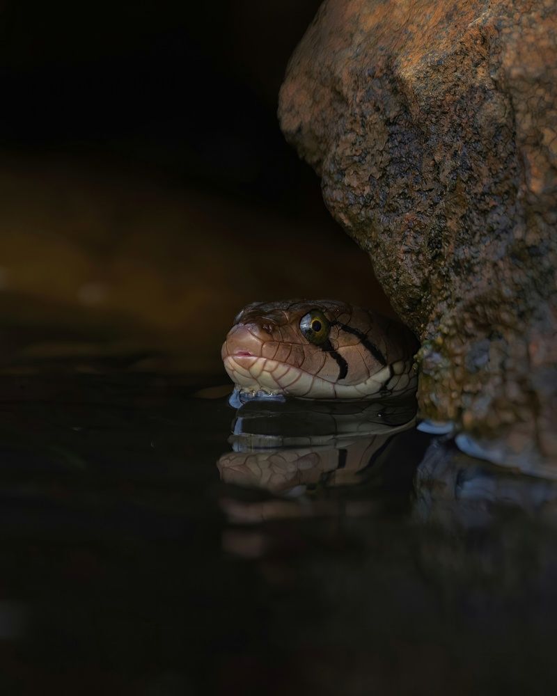 Фотография автора Vishal s