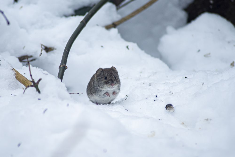 Photograph by Никита