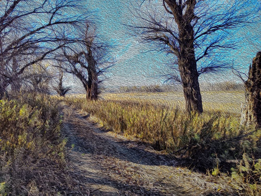 Photograph by Ирина Шибитова