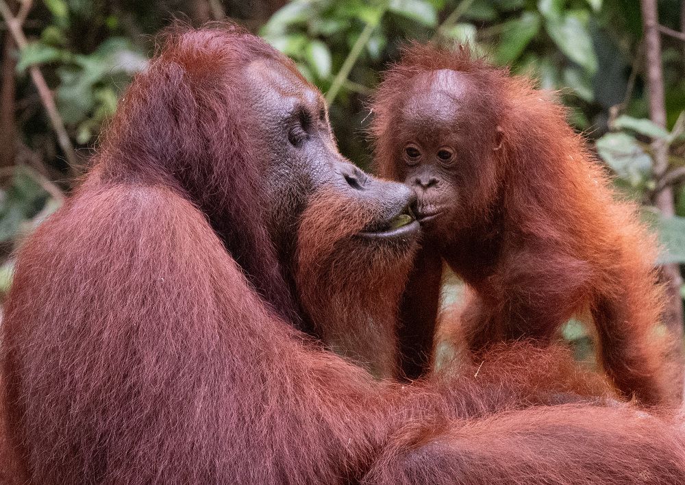 Фотография автора Alex Mimo