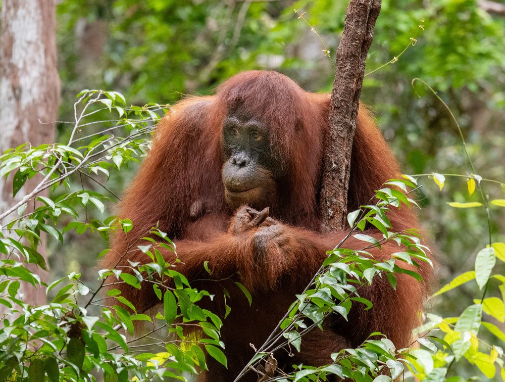 Фотография автора Alex Mimo