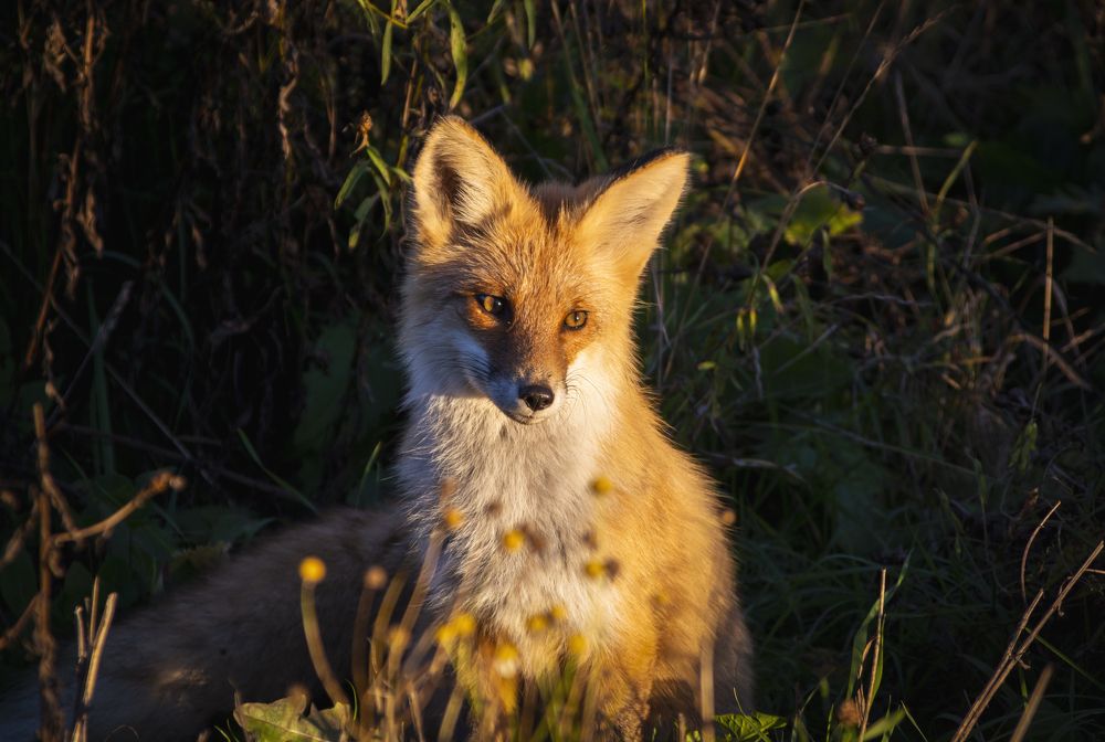 Photograph by Кристина Сотникова