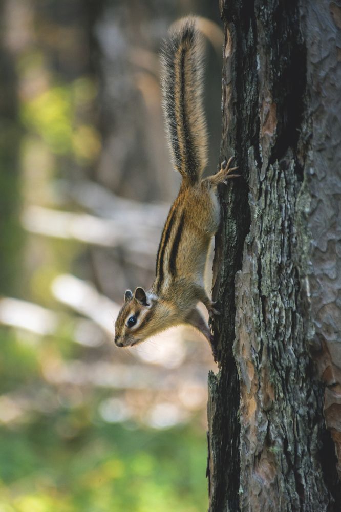 Photograph by Кристина Сотникова