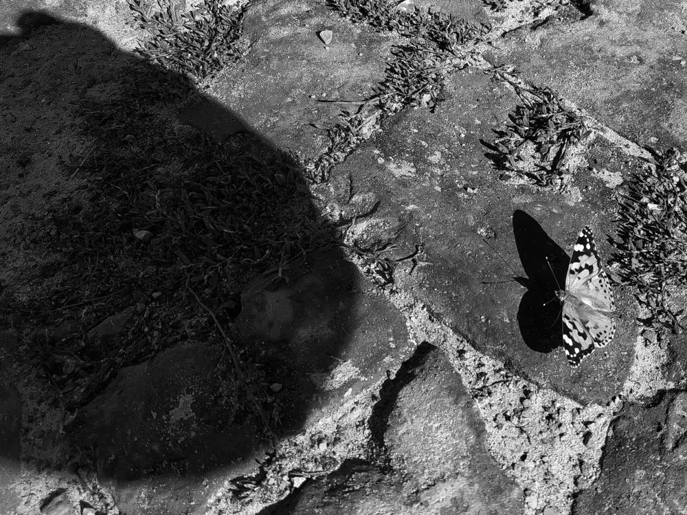 Photograph by Игорь Шевердин