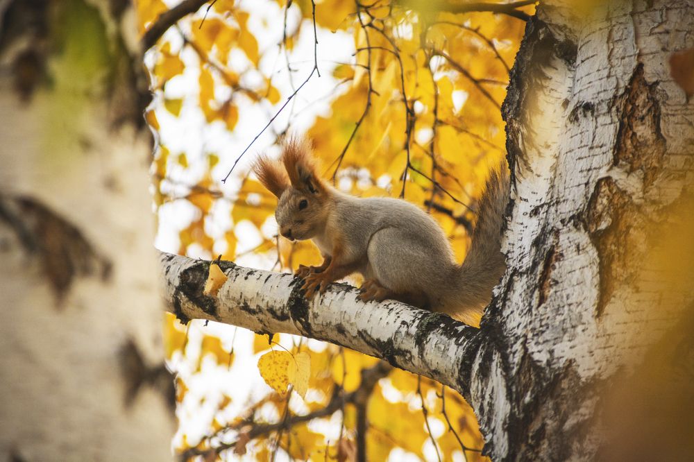 Photograph by Кристина Сотникова