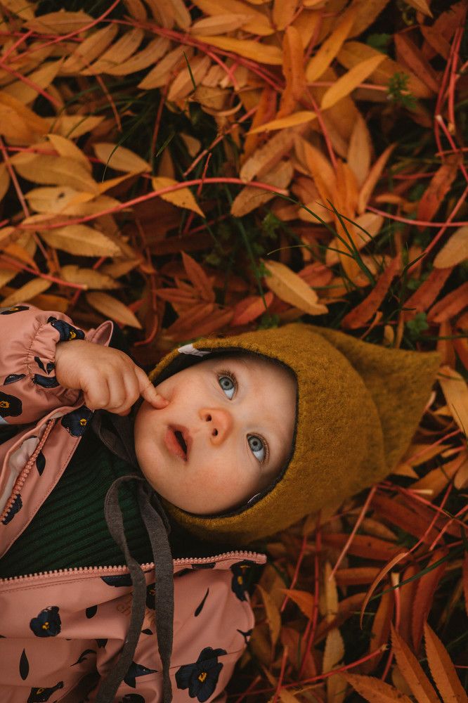 Фотография автора Larisa Chuyanova