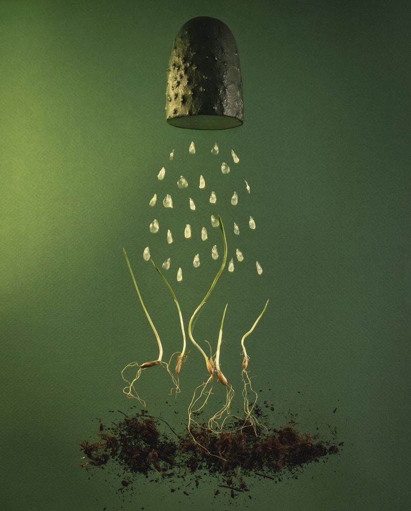 Photograph by Кристина Сотникова