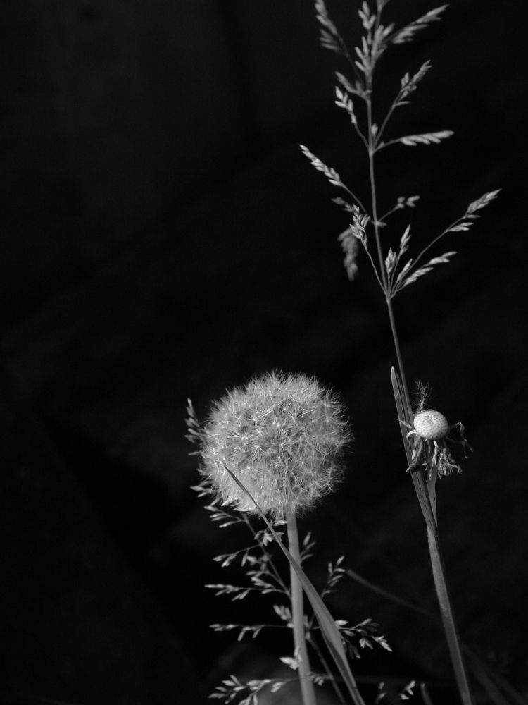 Photograph by Игорь Шевердин