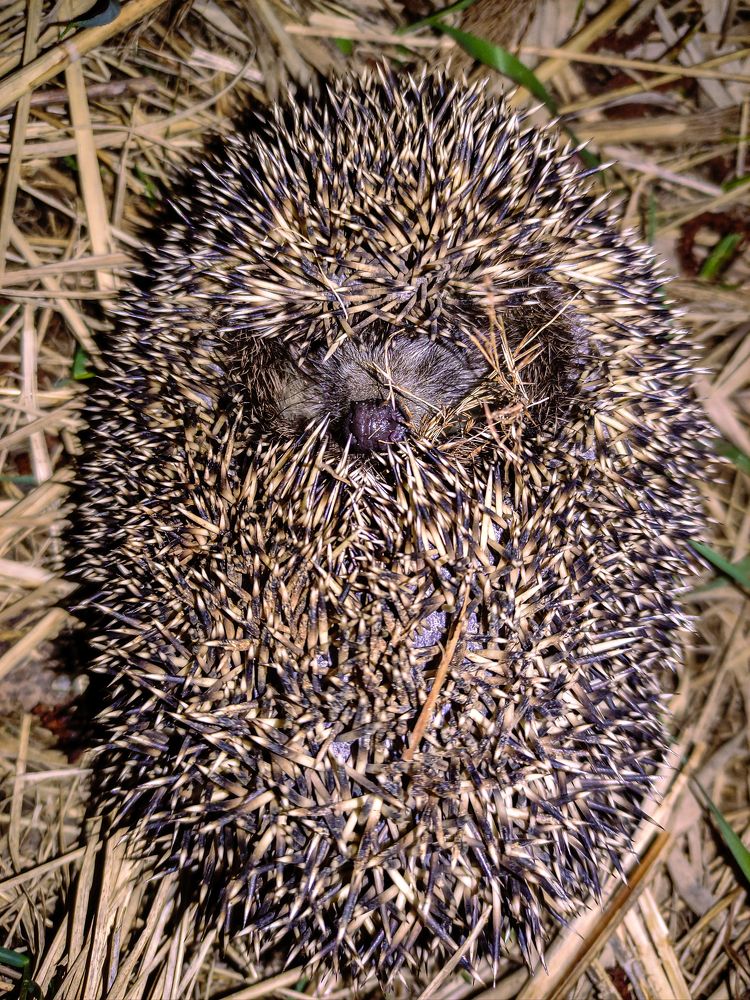 Фотография автора Александр Хухлов