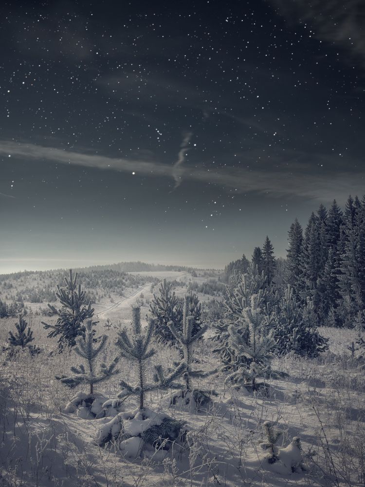 Photograph by Dmitry Medyancev