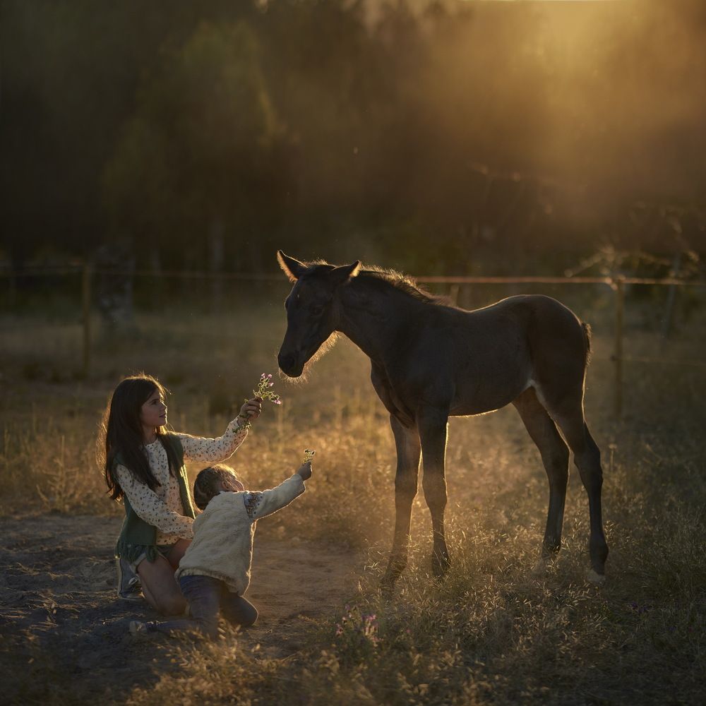 Фотография автора ANA MARIA BRAÑAS
