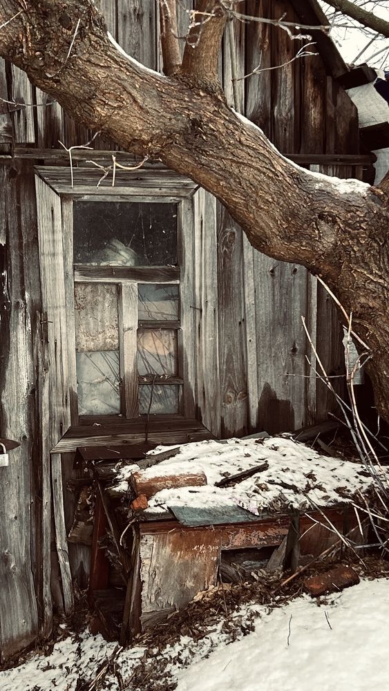 Photograph by Елена Гущина