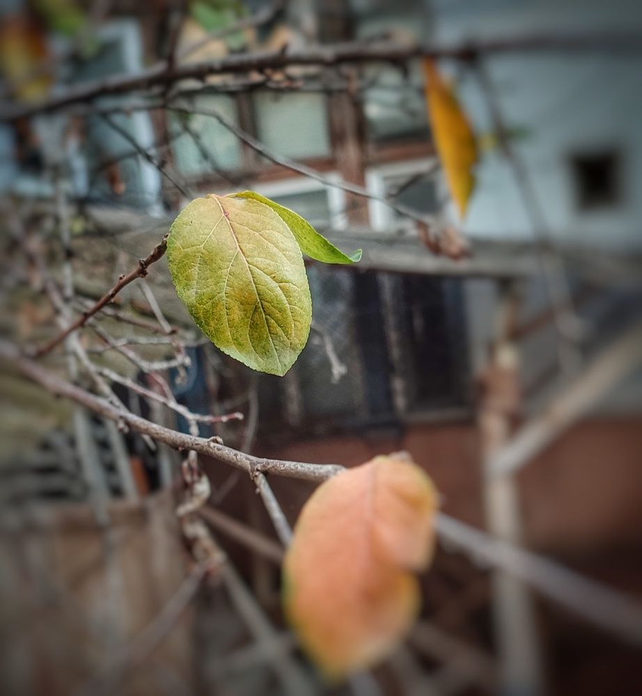 Photograph by Владимир Осипов