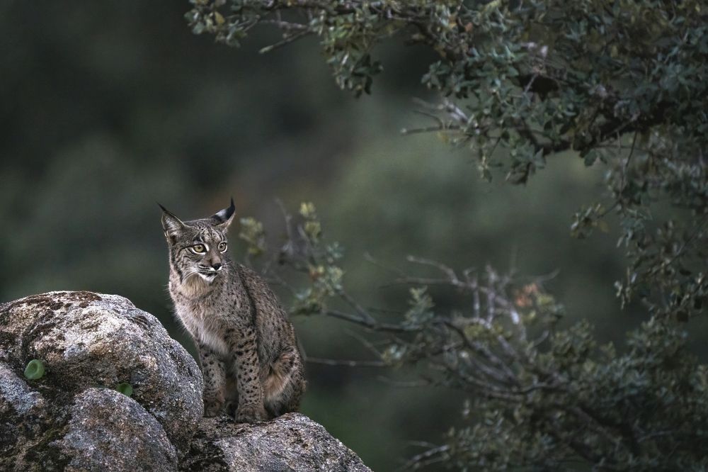 Photograph by Merche Llobera