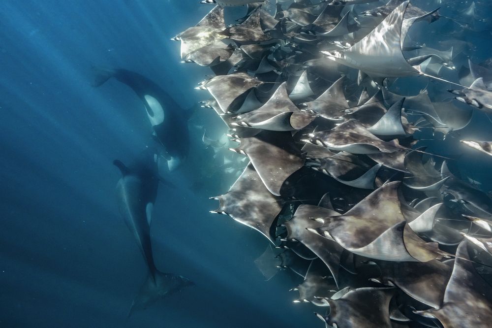 Photograph by Merche Llobera