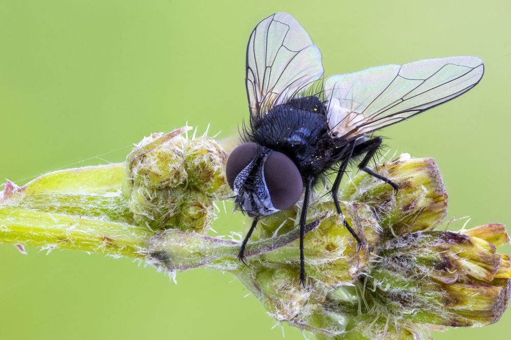 Photograph by BULUR Ozgur Kerem