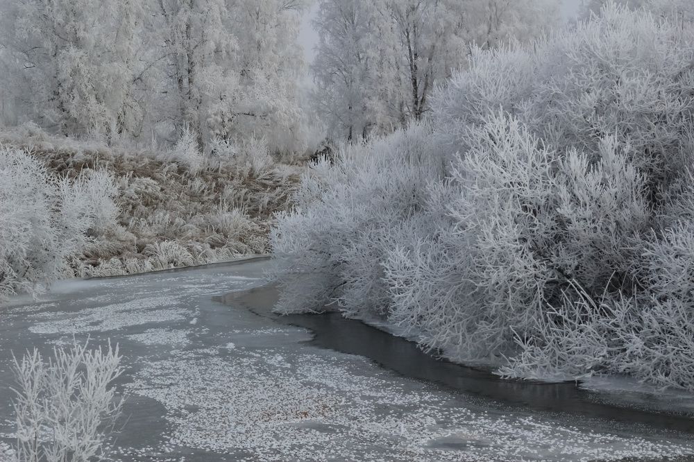 Photograph by Елена Федорова