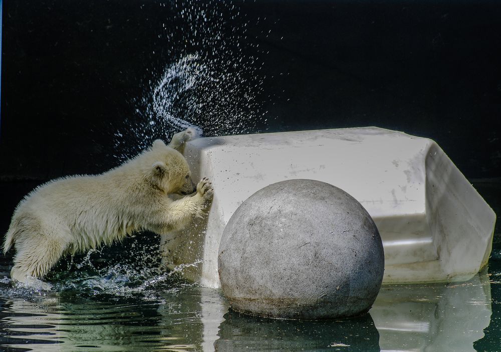 Photograph by Михаил Измайлов