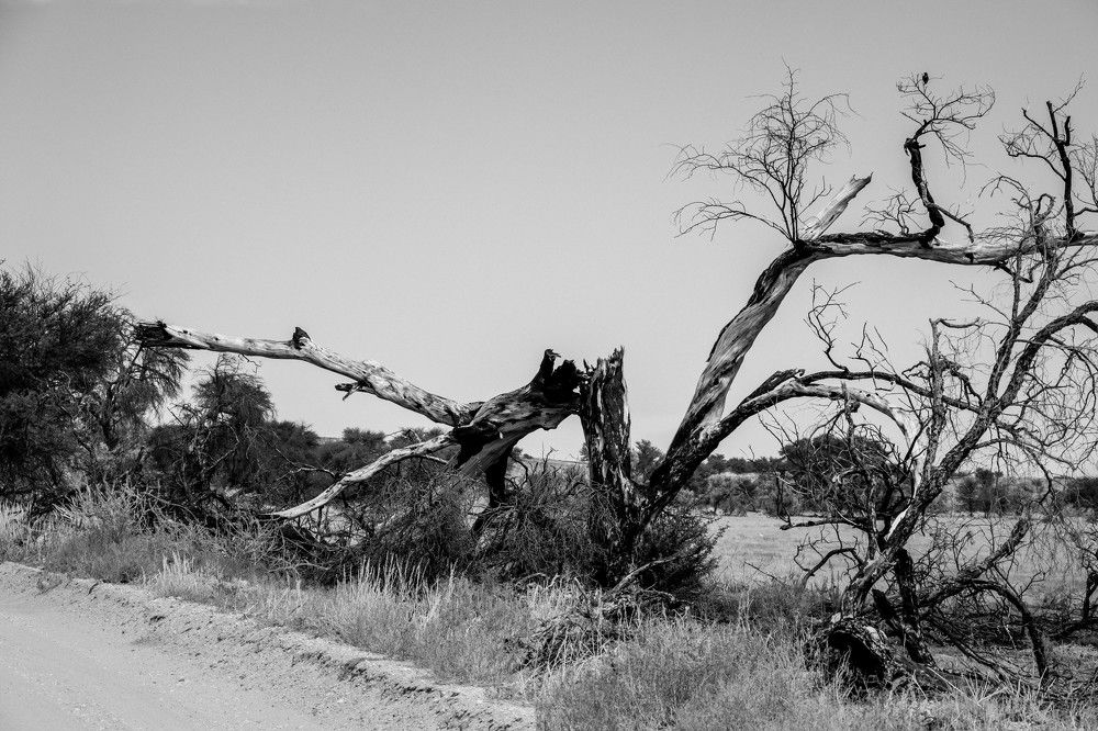 Photograph by Malinda Badenhorst