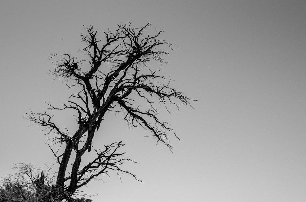 Photograph by Malinda Badenhorst