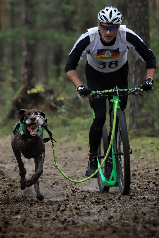 Фотография автора Елена Кириллова