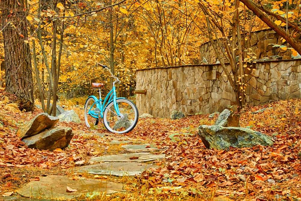 Мгновенье осени