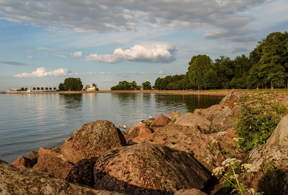 Вечером в Петровской гавани.
