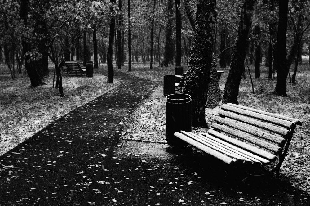 Первый снег