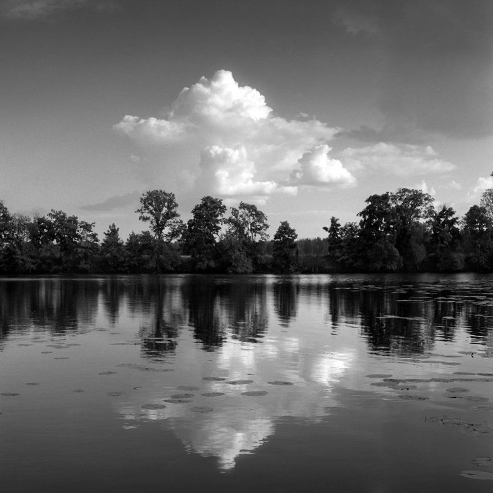 Тихий вечер